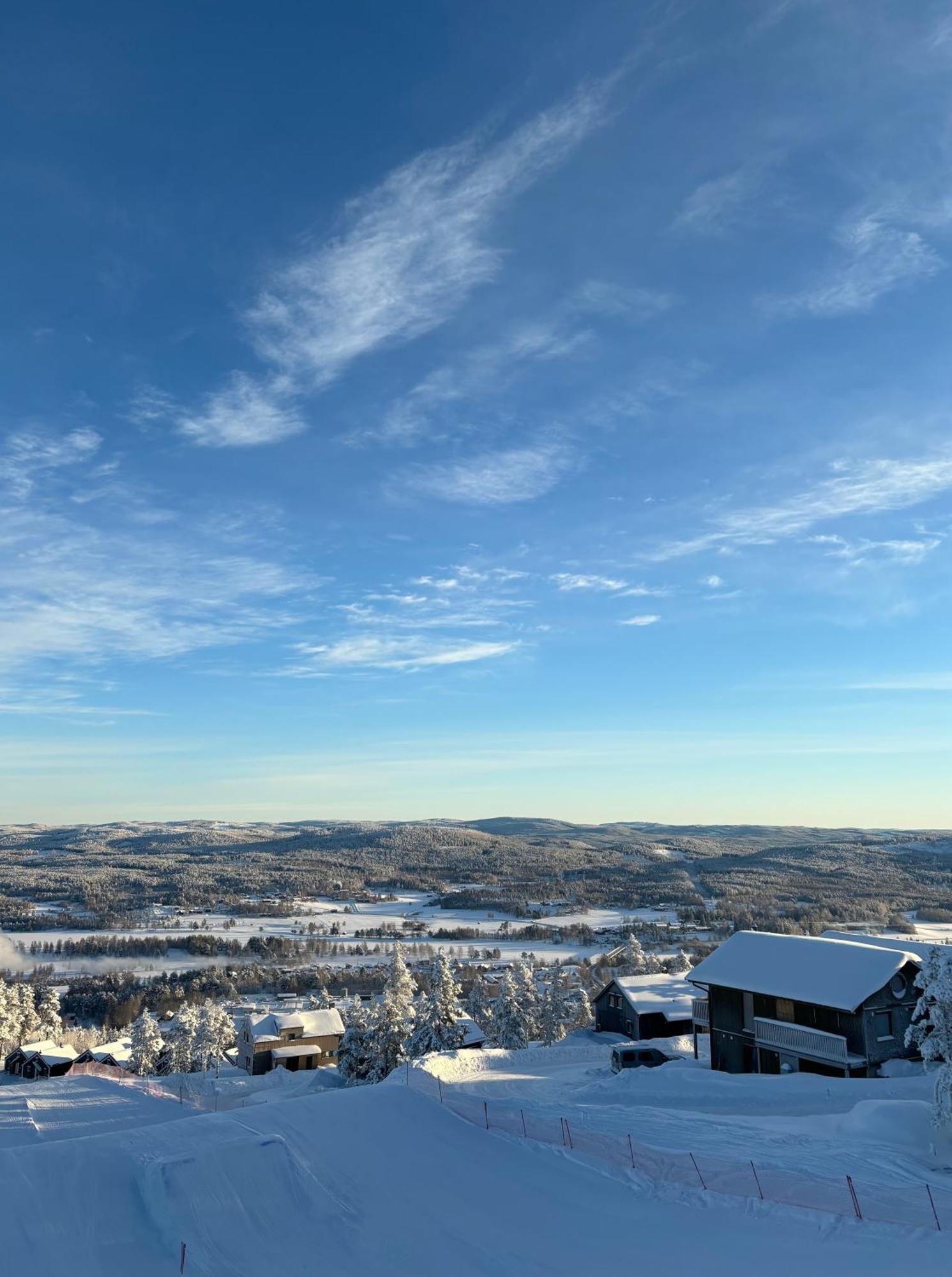 Toppvillan - Ski In - Ski Out - 200 M Till Toppen Och Cykelleder Jarvso Exterior photo